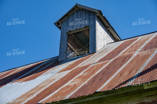 Old Farm Building 302004
