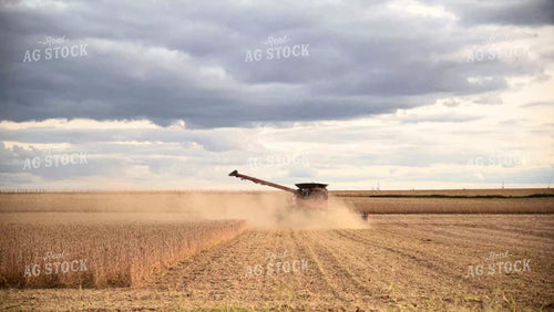 Harvesting Soybeans on Flat Ground - 492