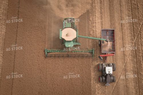 Wheat Harvest 135060
