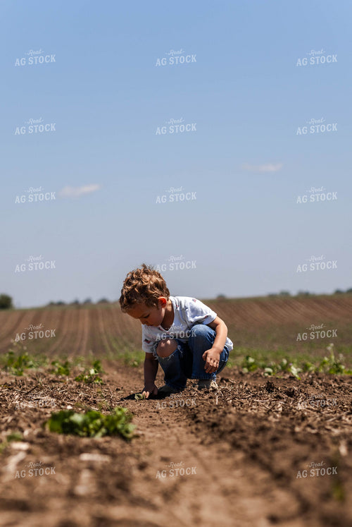 Farm Child Digging for Freshly Planted Corn Seeds 409017