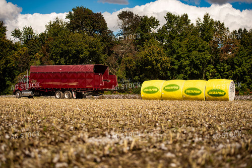Loading Cotton Modules 136147