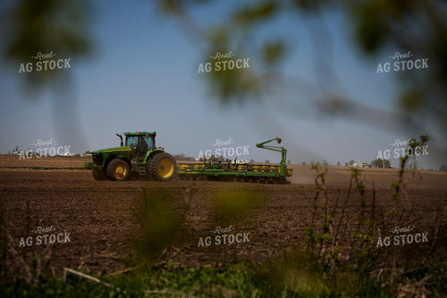 Planting 1993
