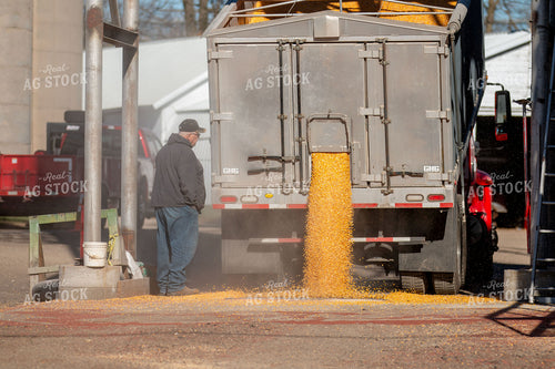 Dumping Grain 157071