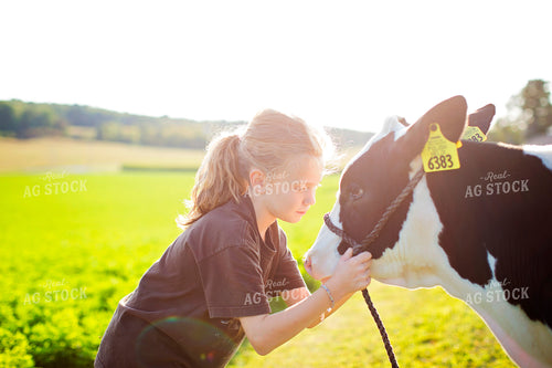 Holstein Cow and Farm Kid 55152