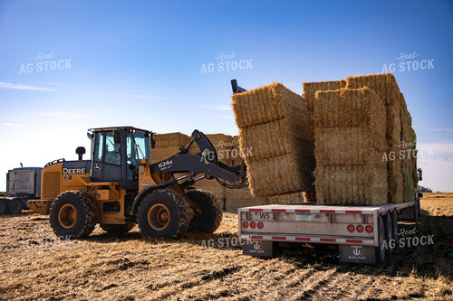 Stacking Wheat Straw Bales 152573