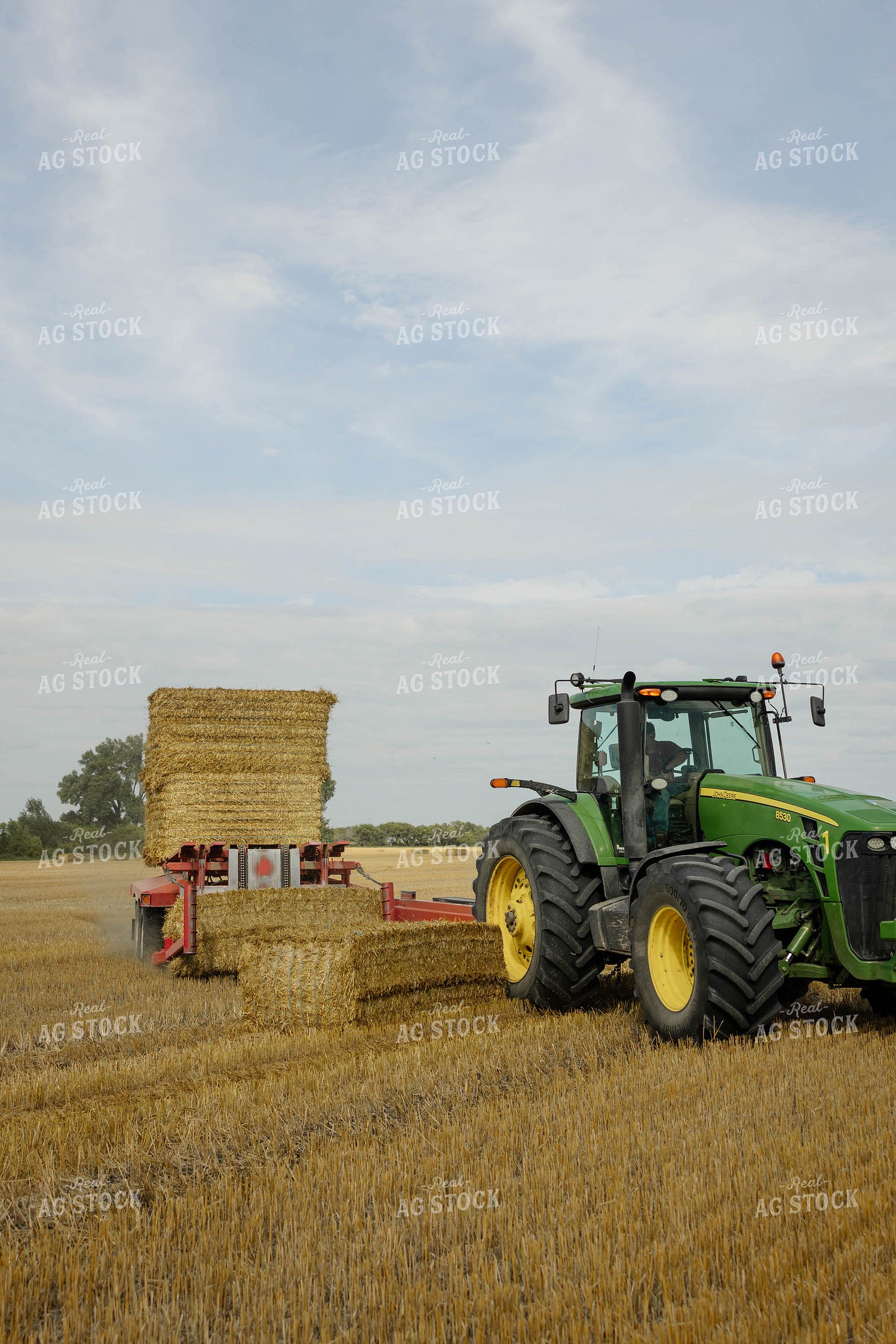 Loading Wheat Straw Bales 296067