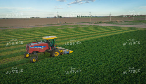 Cutting Alfalfa Hay Drone 56333
