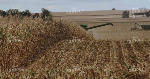 Combine Picking Corn with Auger Wagon in Background 3911