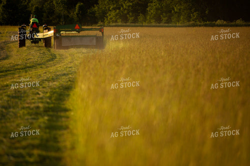 Cutting Hay 4961