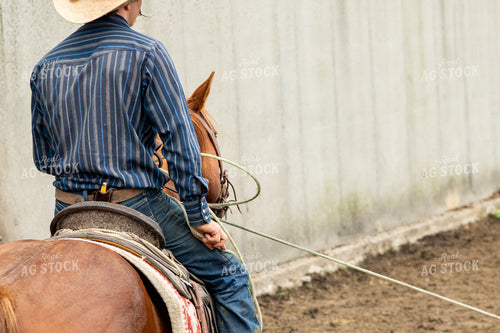 Rancher Roping Cattle 214169