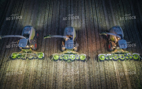Silage Harvest at Night Drone 56212