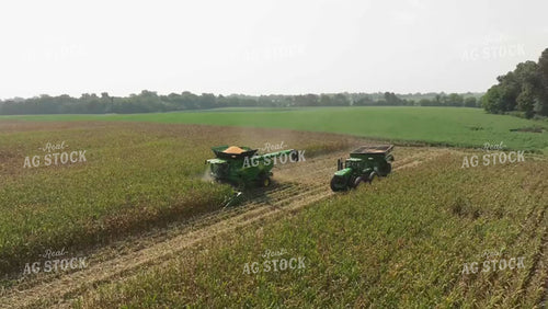 Corn Harvest 92058