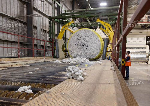 Cotton Processing Plant 79538