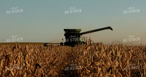 Combine Harvesting Soybeans 5382
