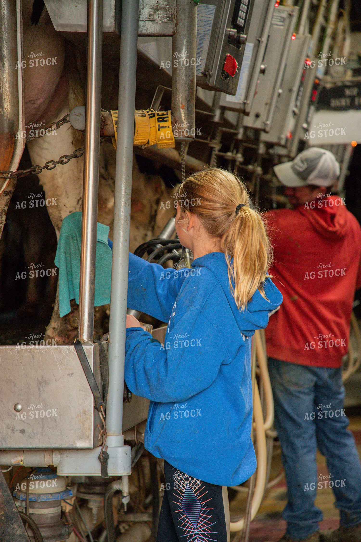 Dairy Farm Family in Milking Parlor 142034
