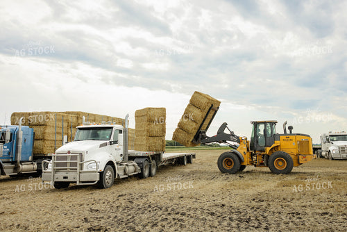Loading Wheat Straw Bales 296074
