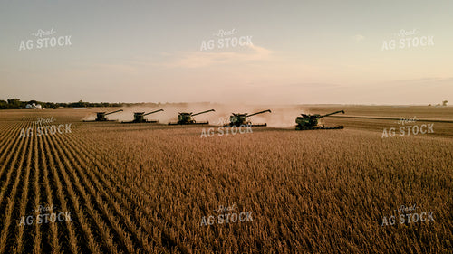 Soybean Harvest 9308