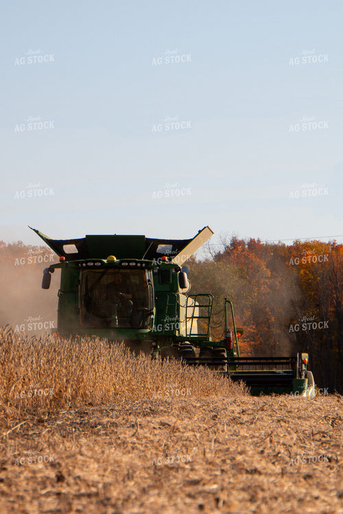 Soybean Harvest 157147