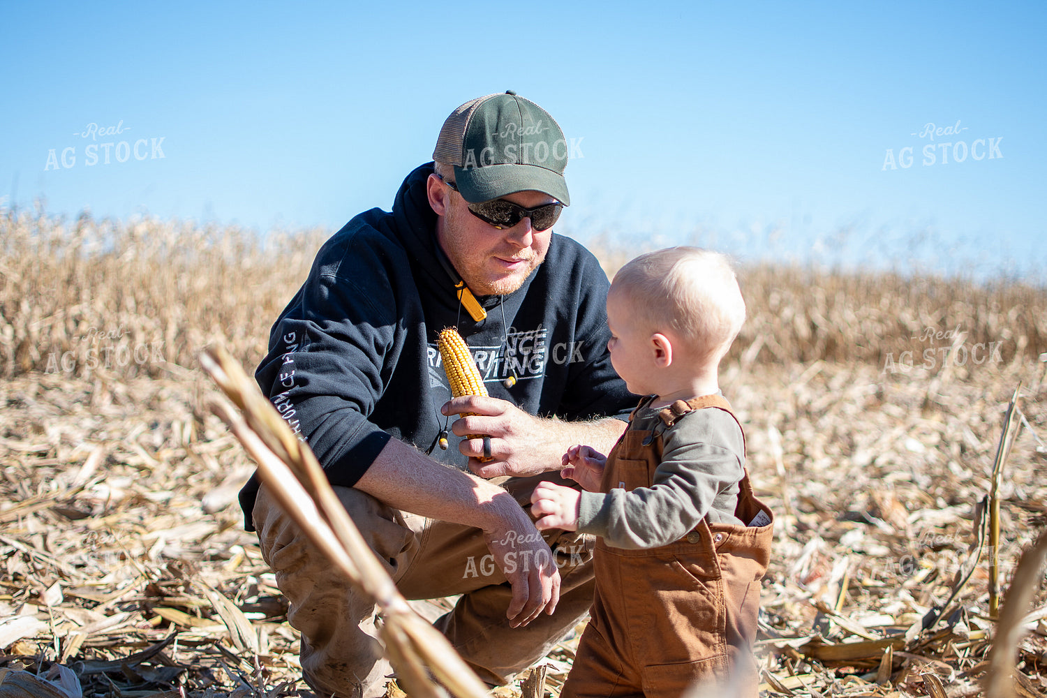 Farmer and Son in Corn Field 50511