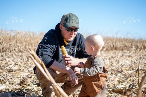 Farmer and Son in Corn Field 50511