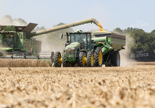 Soybean Harvest 79832