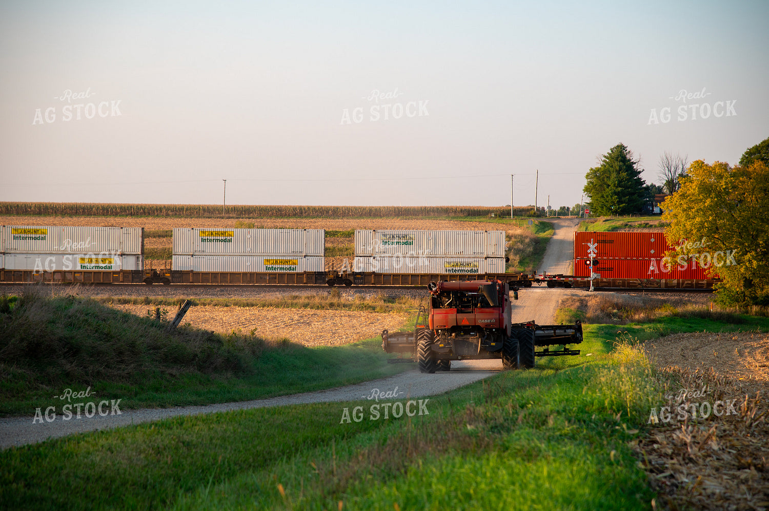Combine Waiting for Train at Railroad Tracks 25446