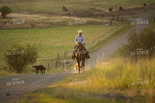 Rancher on Horseback with Ranch Dog 69025