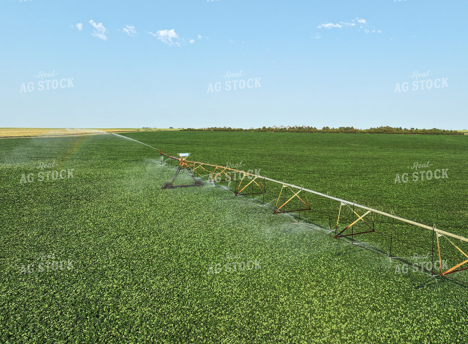 Pivot Irrigation System in Soybean Field 141160