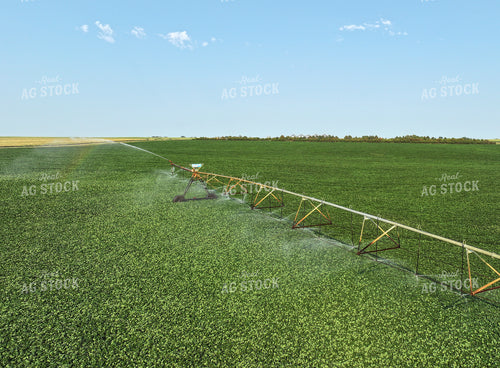 Pivot Irrigation System in Soybean Field 141160