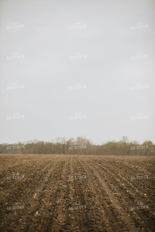 Just Planted Soil in Field 5468