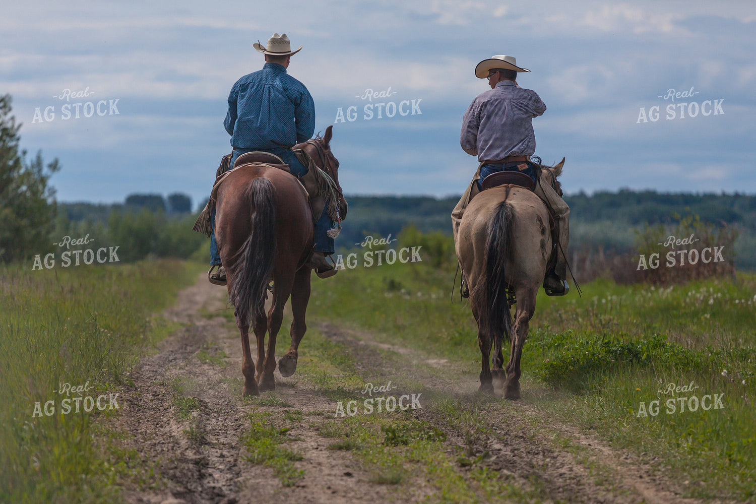 Ranchers Ride Horseback Along Dirt Path 138058