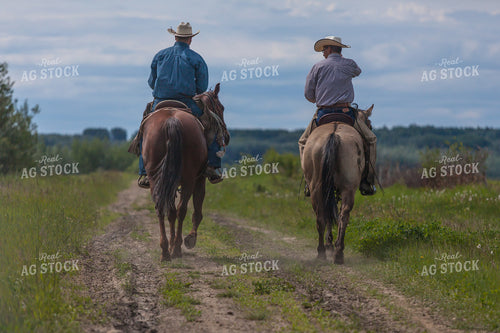 Ranchers Ride Horseback Along Dirt Path 138058