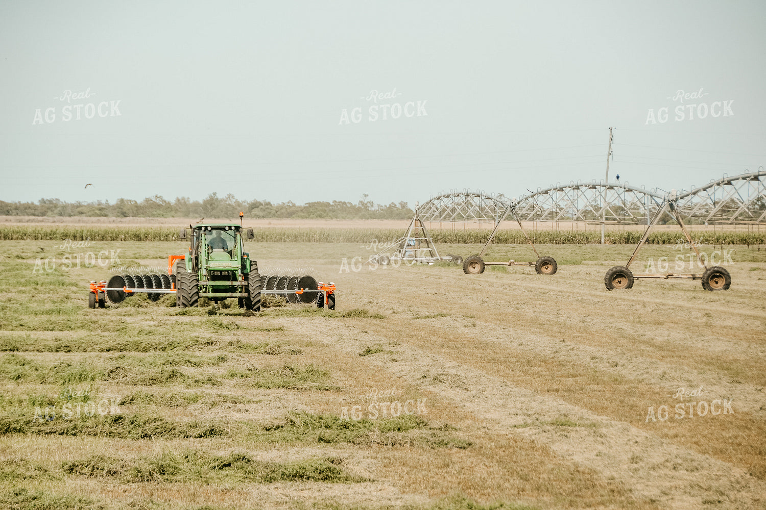 Raking Hay 64098