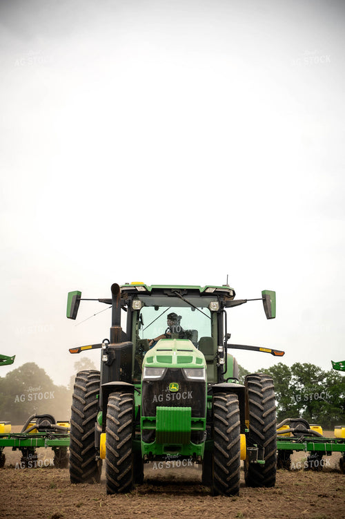 Planting 115684