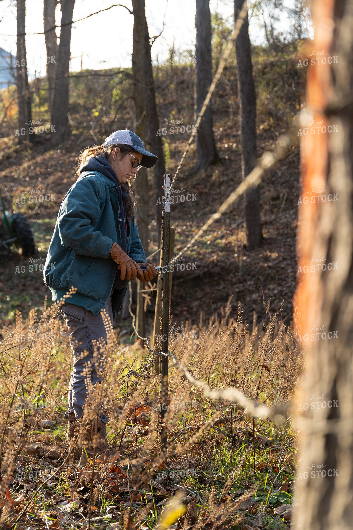 Putting Up Barbed Wire Fence 52280