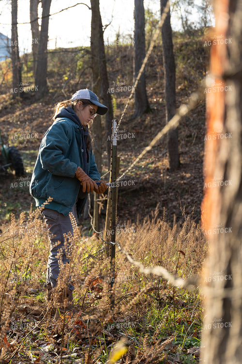 Putting Up Barbed Wire Fence 52280