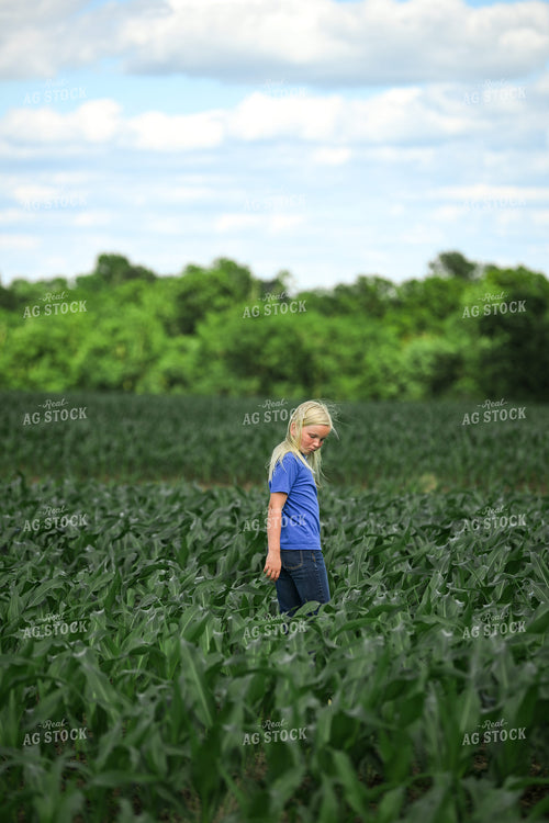 Farm Kid Checking Corn Field 191328