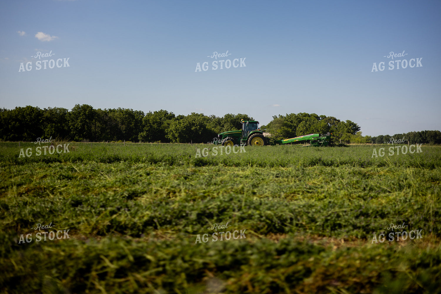 Mowing Hay 281014