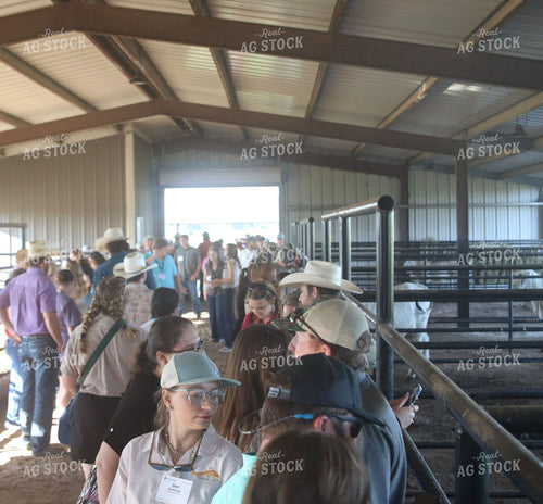 Brahman Ranch Tour 102170