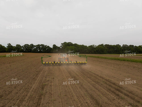 Planting 115674