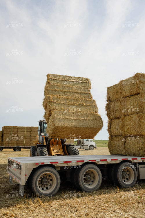 Loading Wheat Straw Bales 296087