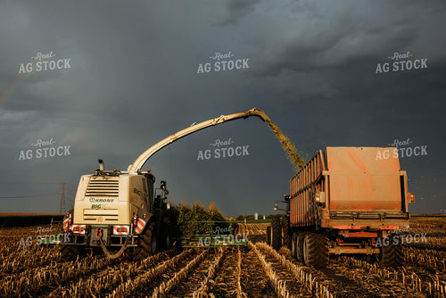 Chopping Corn Silage 152041