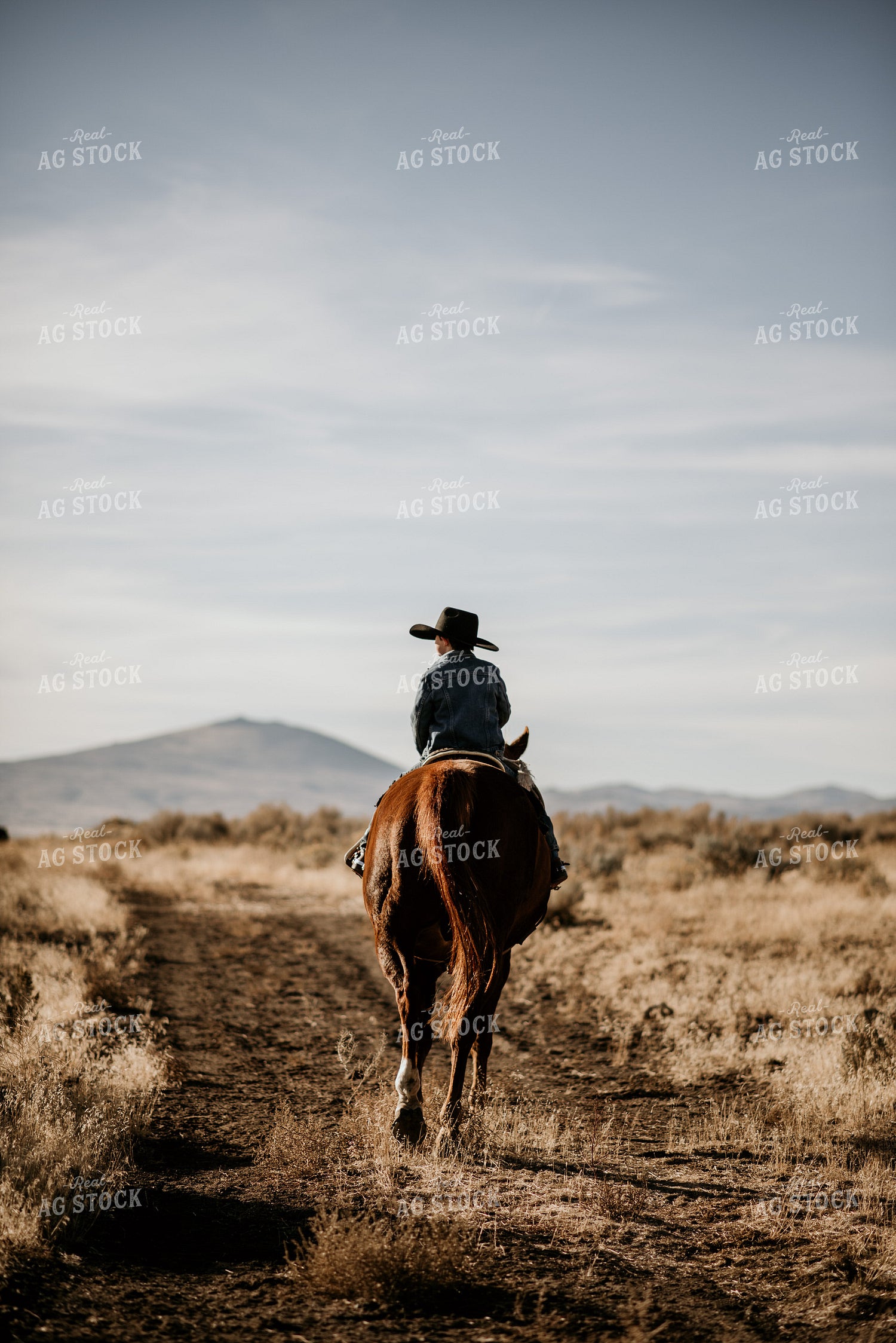 Rancher on Horse 54031