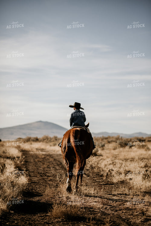 Rancher on Horse 54031