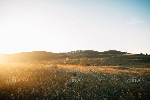 Sand Hills Pasture 53023