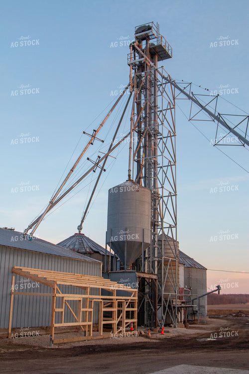Grain Leg 157046