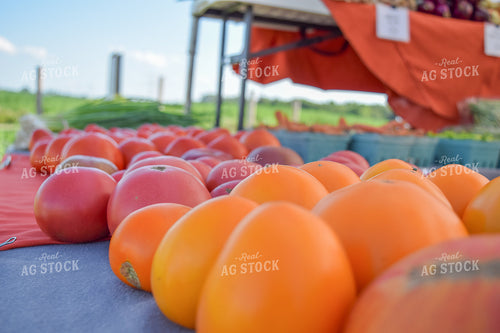 Tomatoes 106019