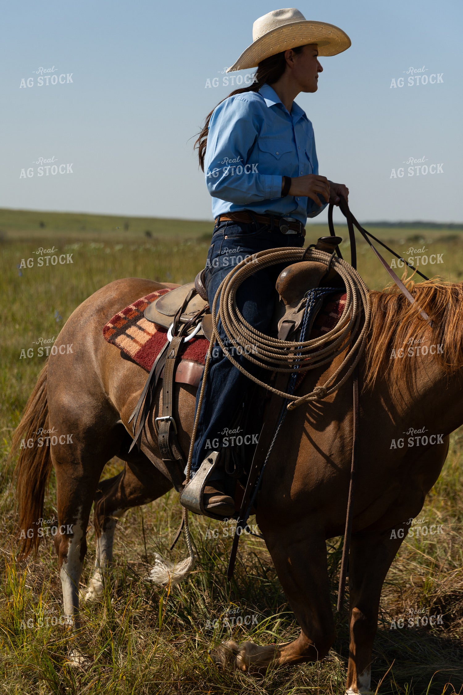 Female Rancher Horseback 71036