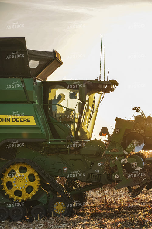 Corn Harvest 273002