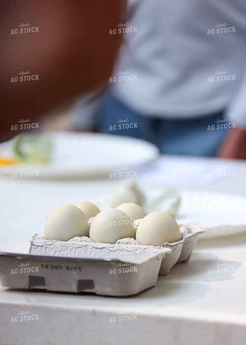 Showing Eggs 160133